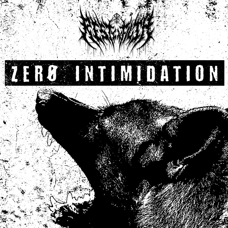 ZeroIntimidation封面