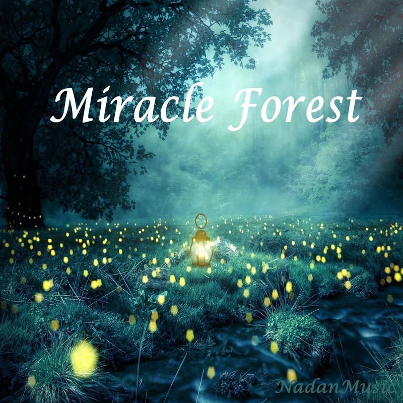 MiracleForest封面
