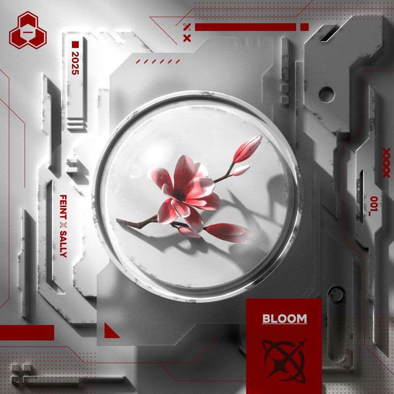 Bloom封面