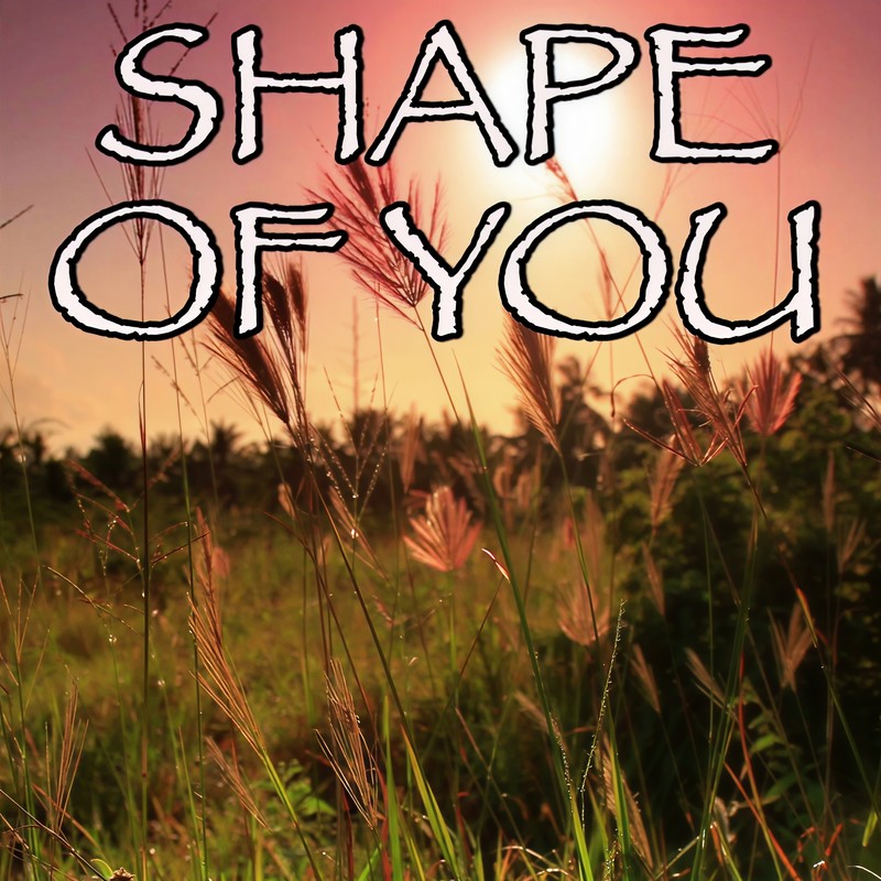 ShapeOfYou封面