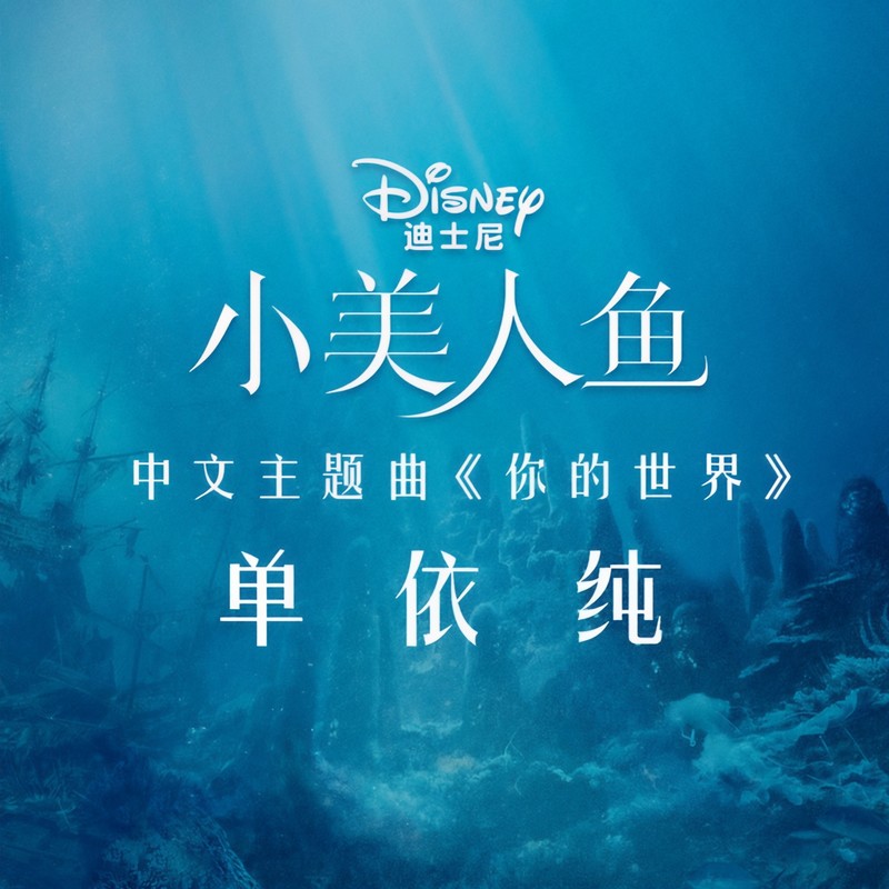 你的世界封面