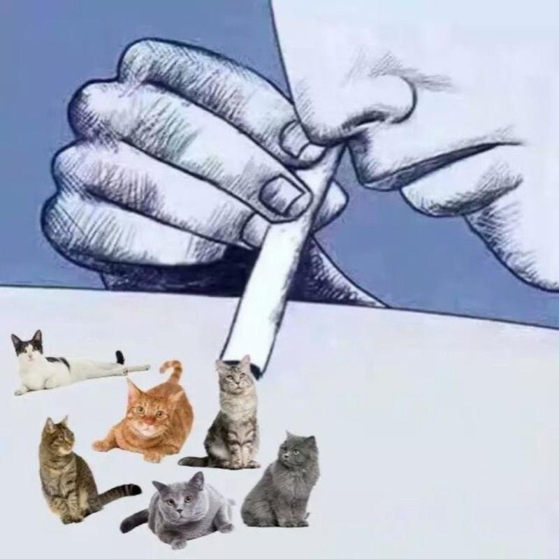 Understand封面