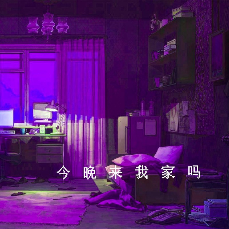 今晚来我家吗封面