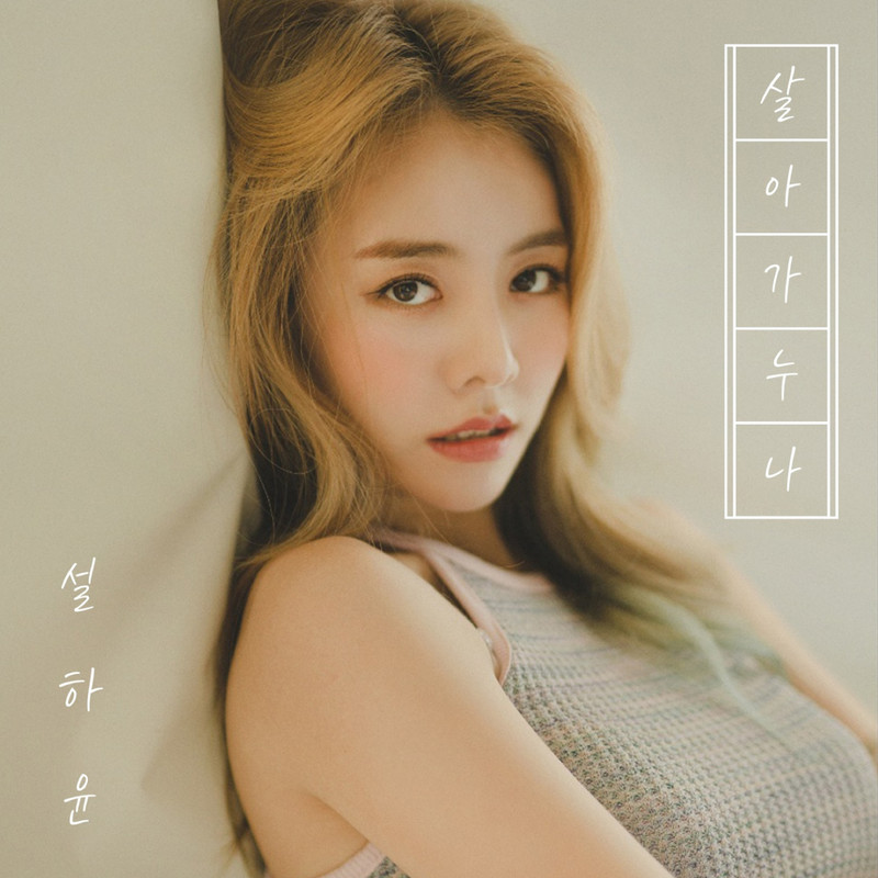 바람꽃封面