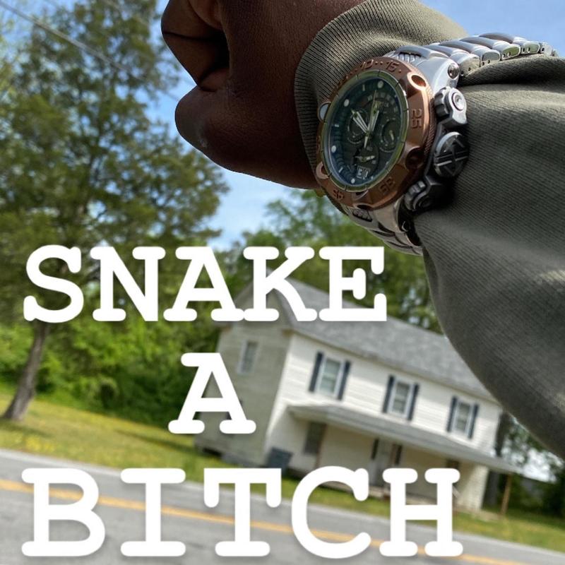 Snakea*****封面
