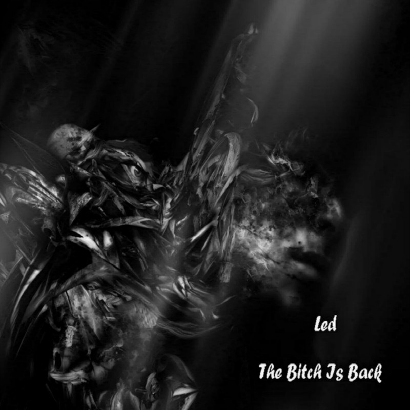 The*****IsBack封面