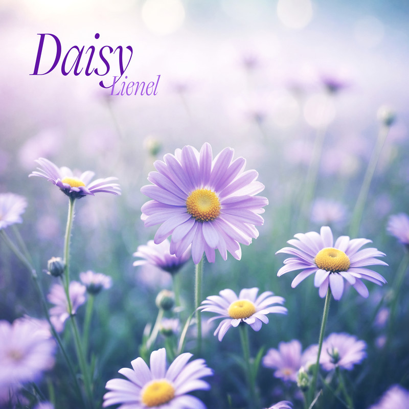 Daisy封面