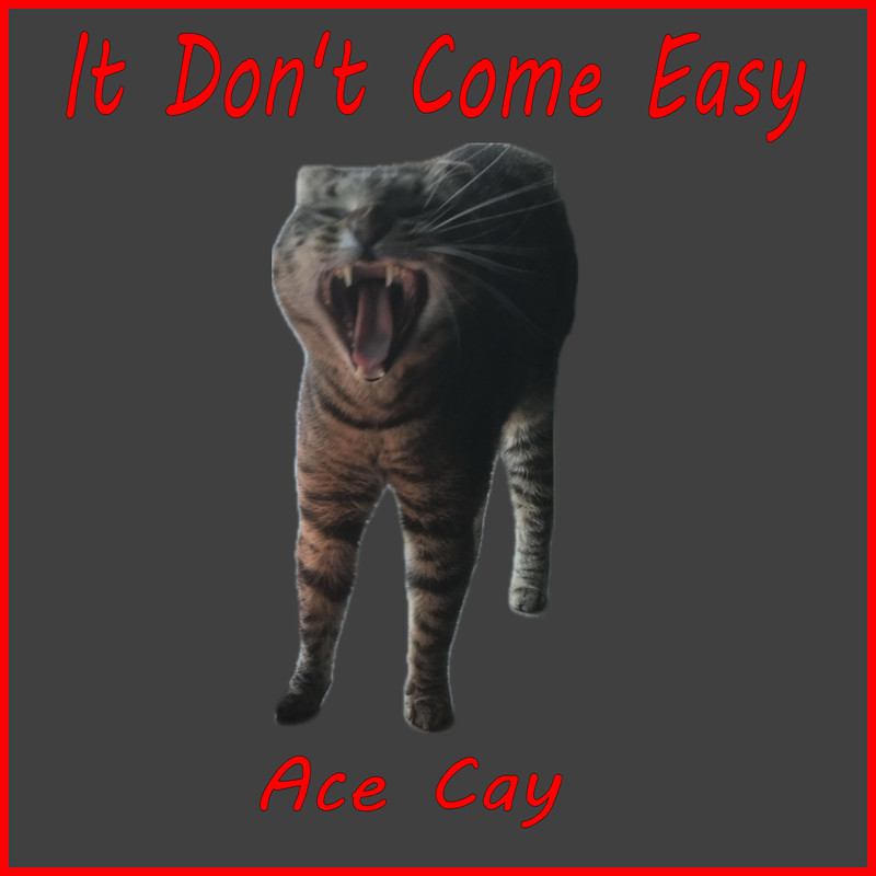 ItDon'tComeEasy封面