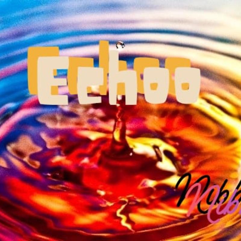 ECHOO封面