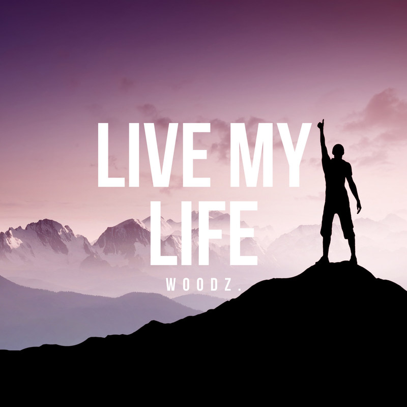 LiveMyLife封面