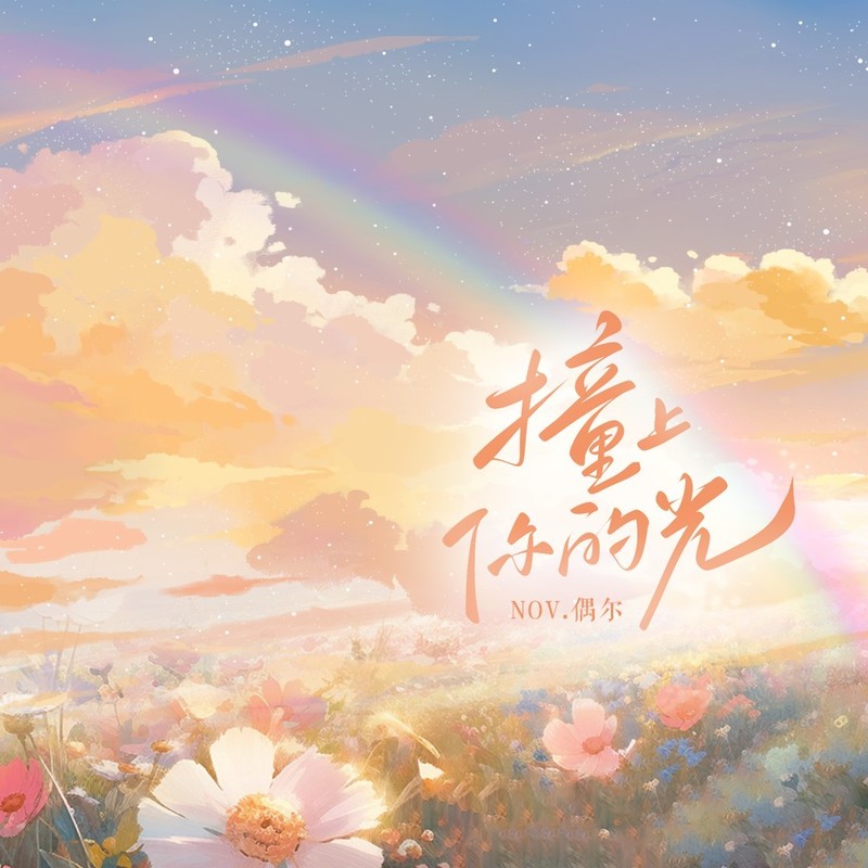 撞上你的光封面