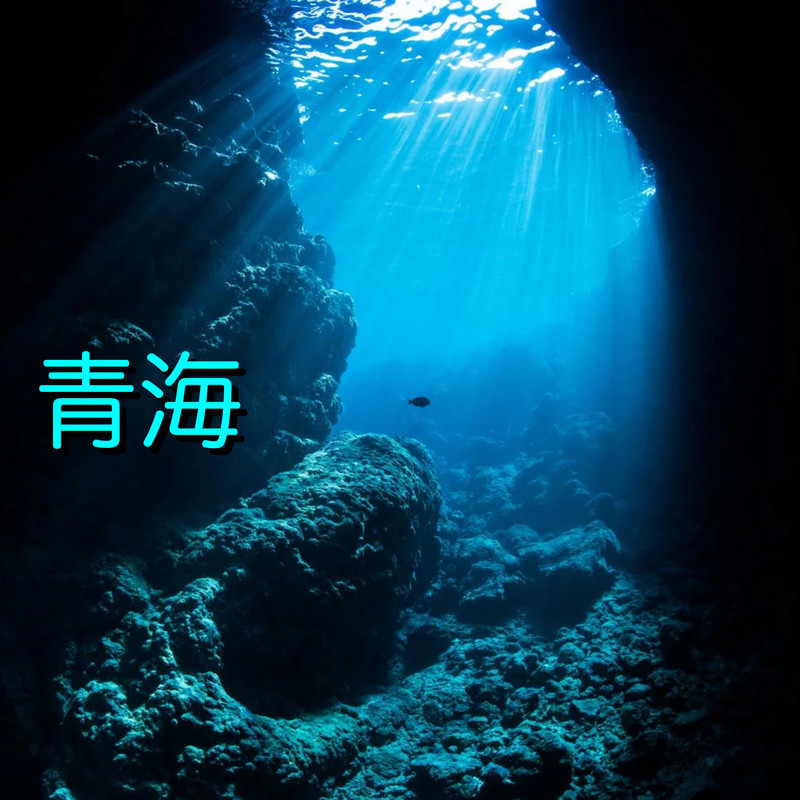 躍動封面