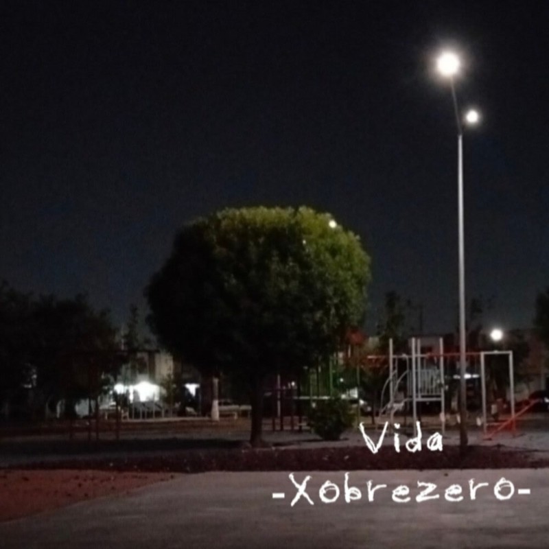 Vida封面