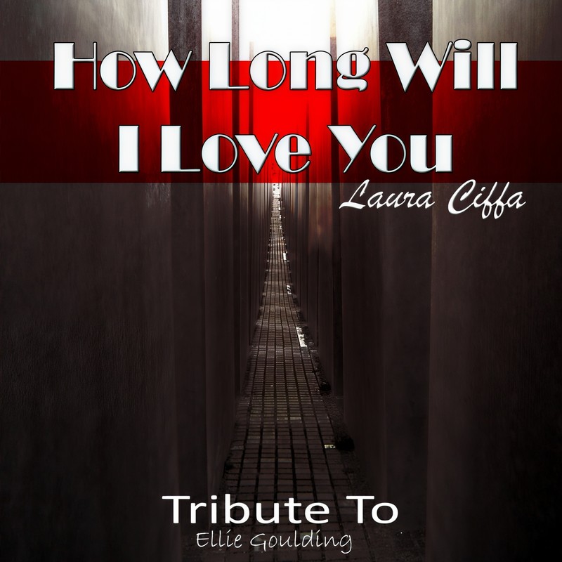 HowLongWillILoveYou封面