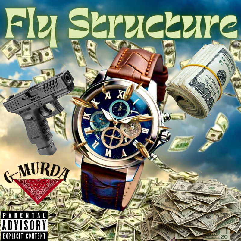 FlyStructure封面