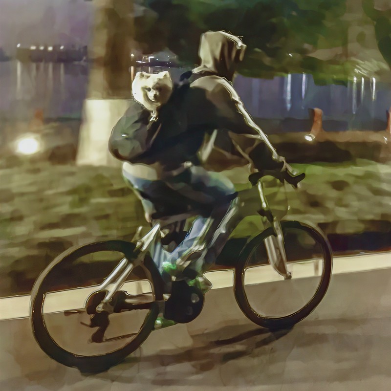 回家吧封面
