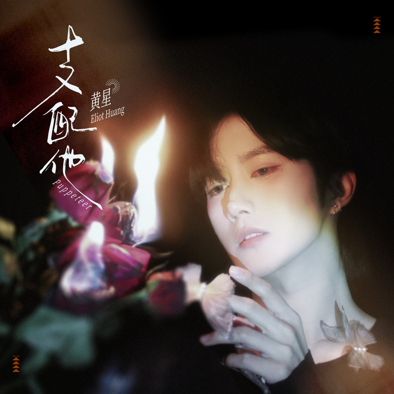 支配他封面