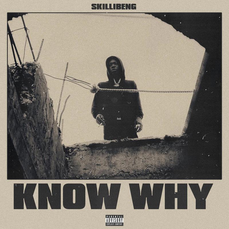 KnowWhy封面