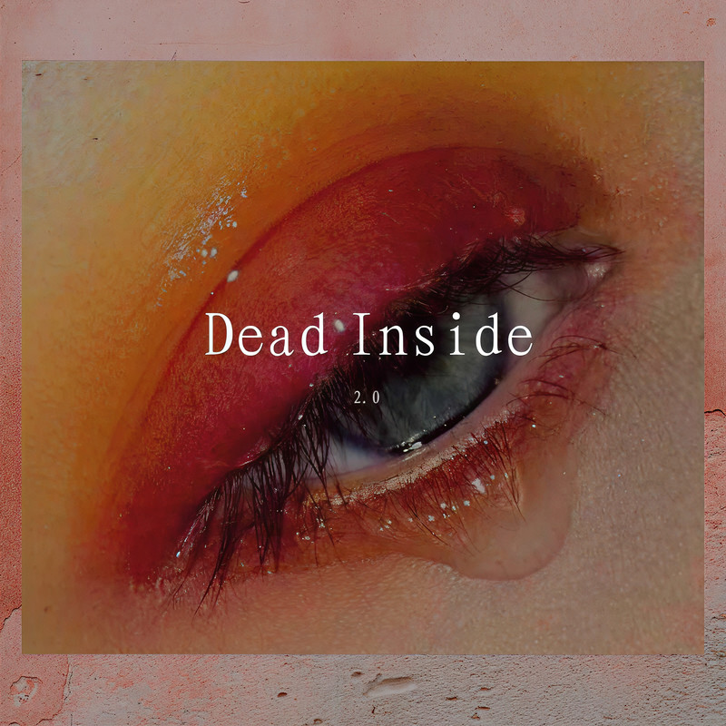 DeadInside2.0封面