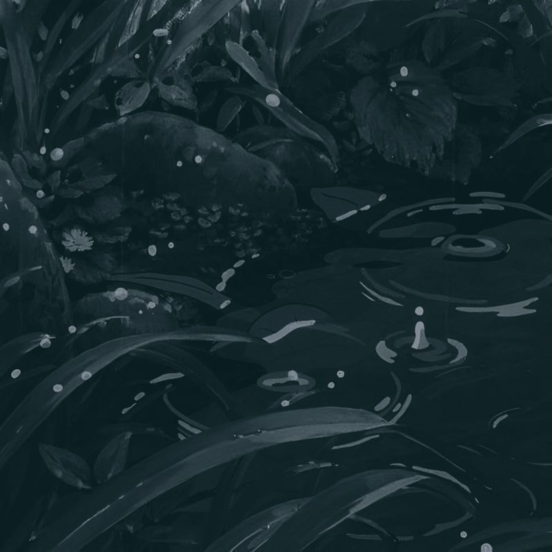 Rainylofi封面