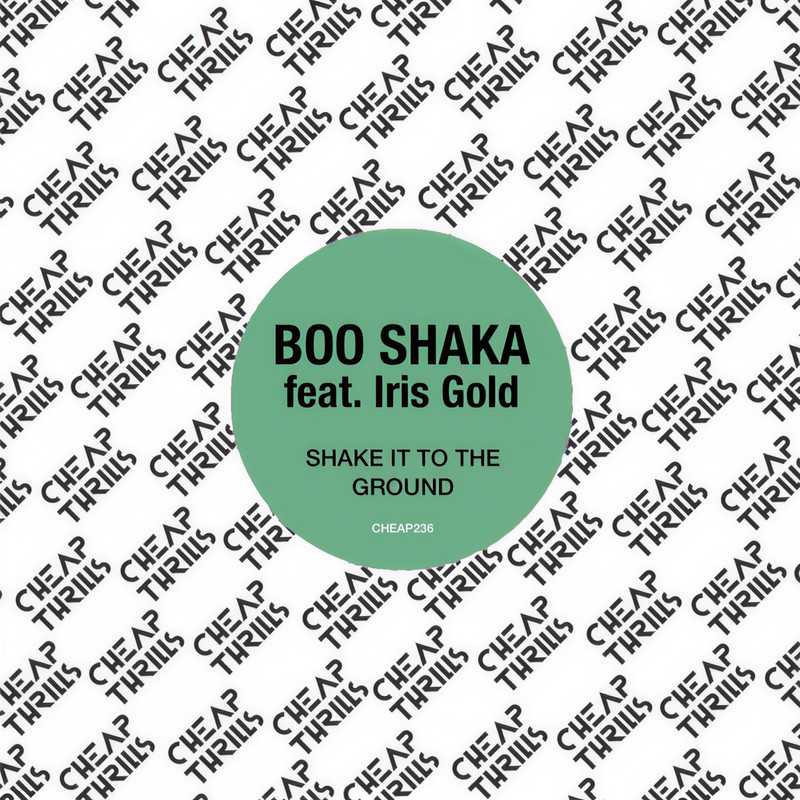 ShakeIttotheGround封面