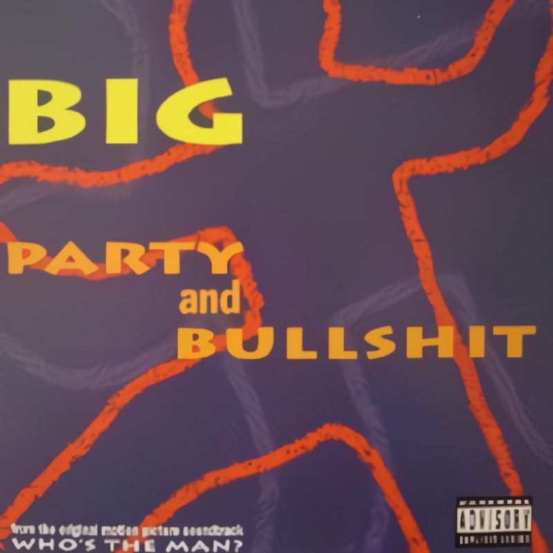PartyandBullshit封面
