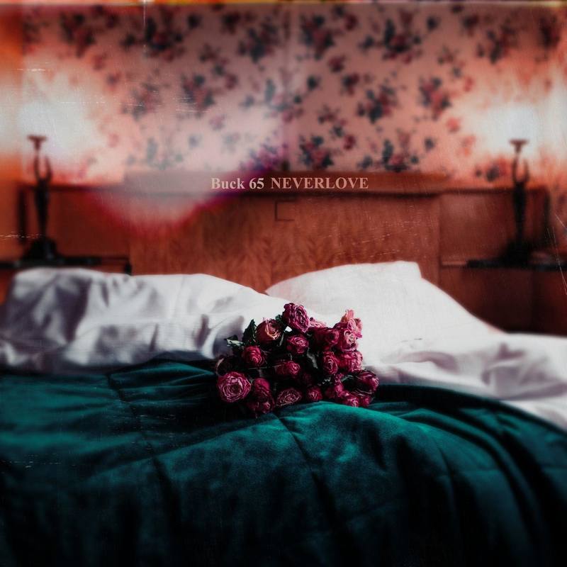 RosesintheRain(feat.Adaline)封面