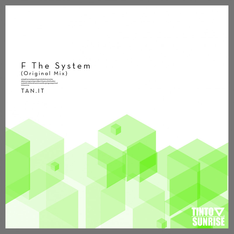 FTheSystem封面