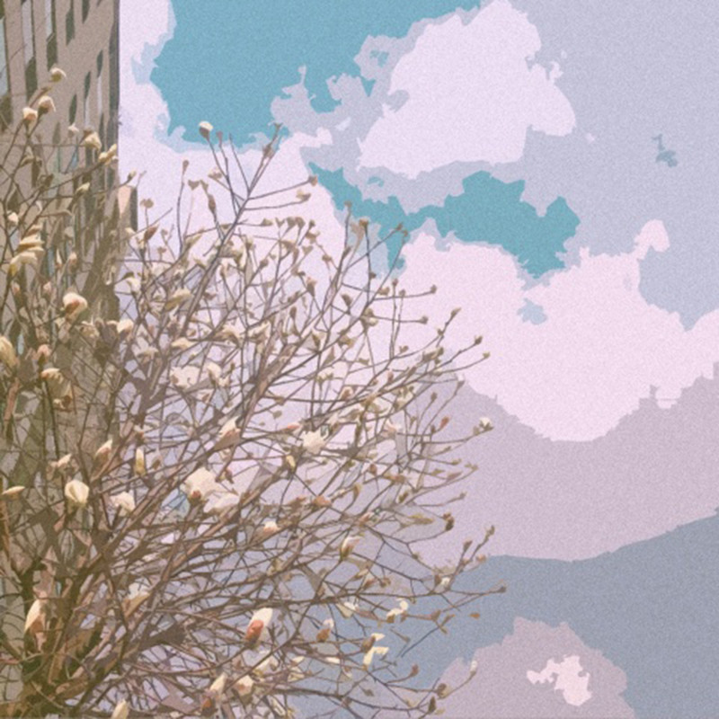 totheseaside...封面