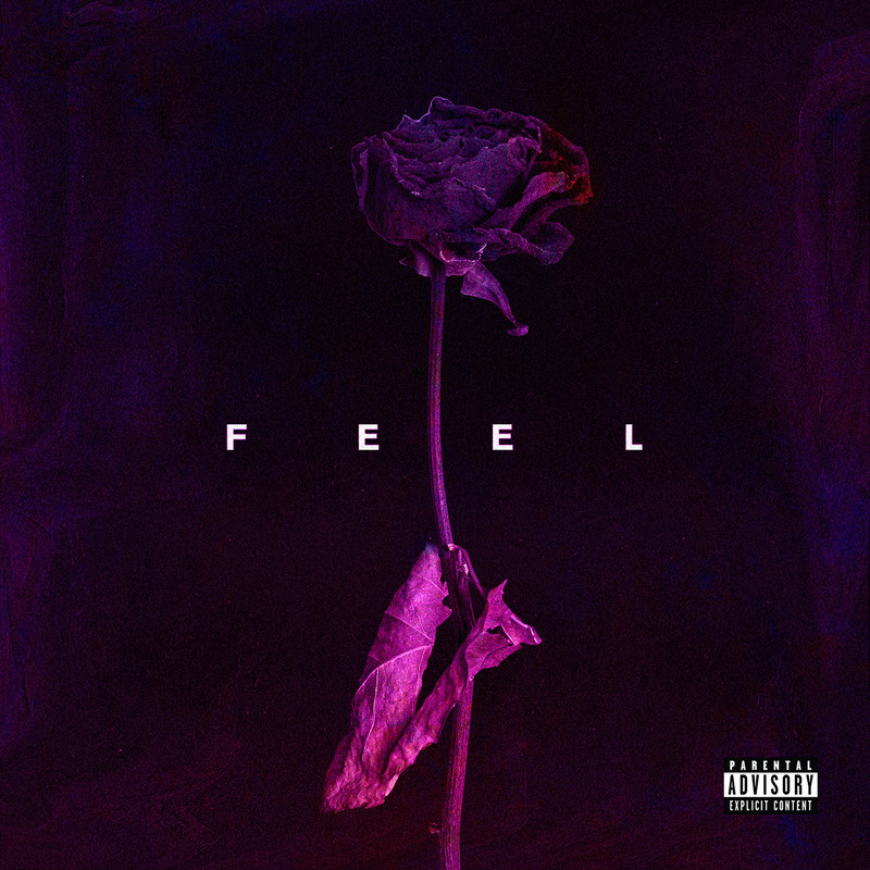 Feel(Explicit)封面