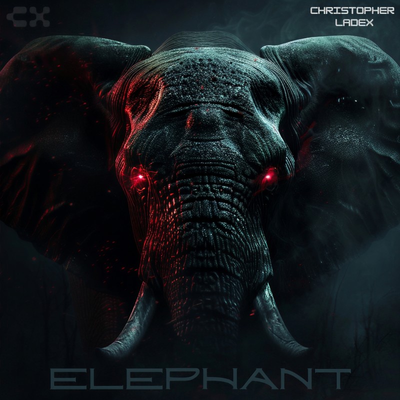 Elephant封面