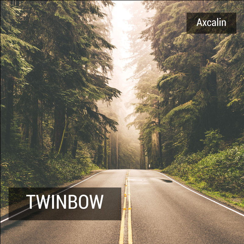 Twinbow封面