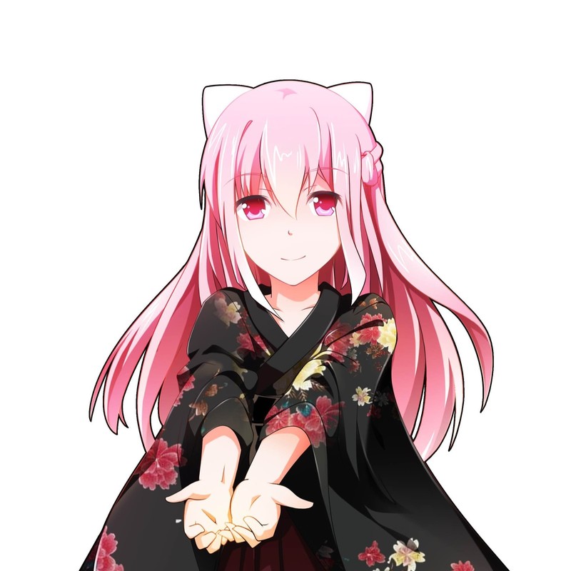 knowme...封面