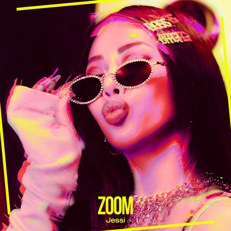 ZOOM封面