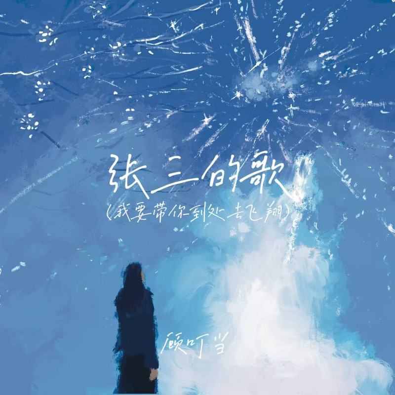 张三的歌(我要带你到处去飞翔)封面