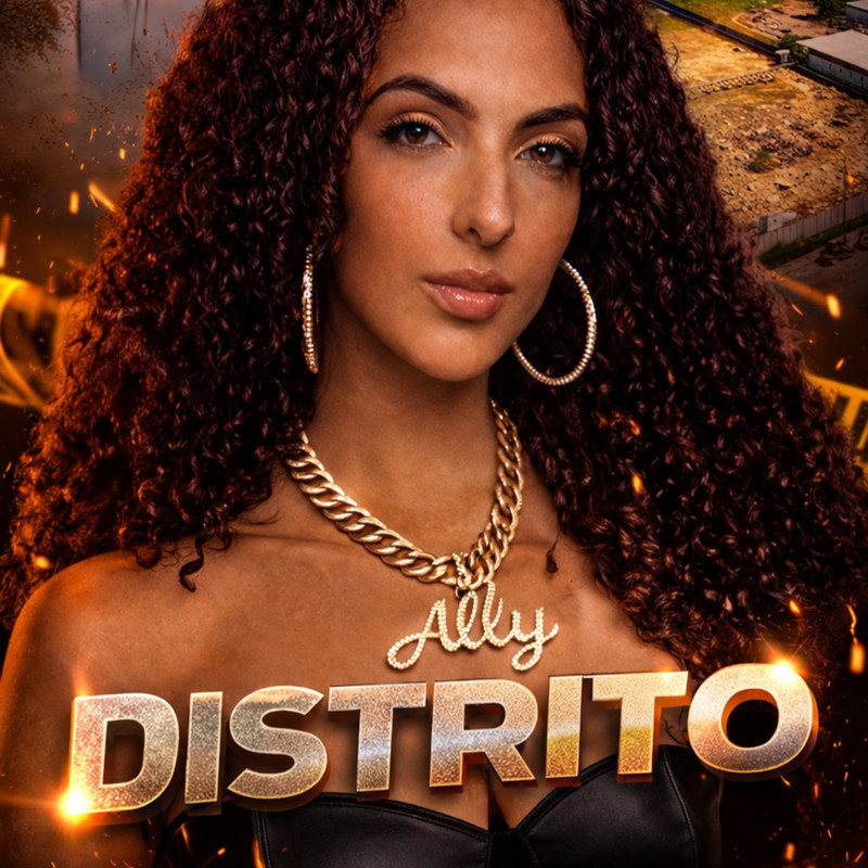 Distrito封面