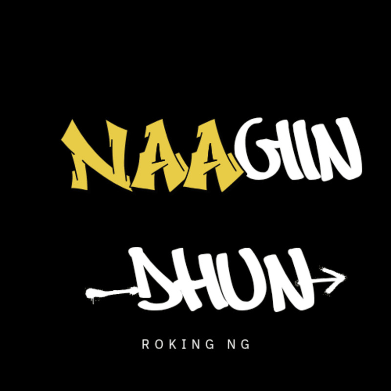 NaaginDhun封面