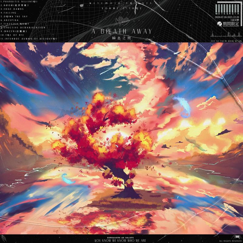 Falling封面