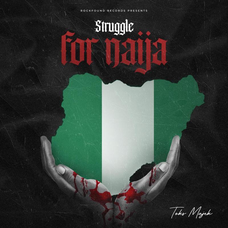 StruggleForNaija封面