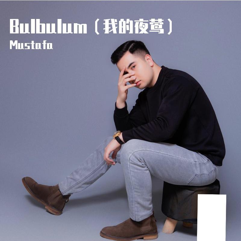 Bulbulum封面