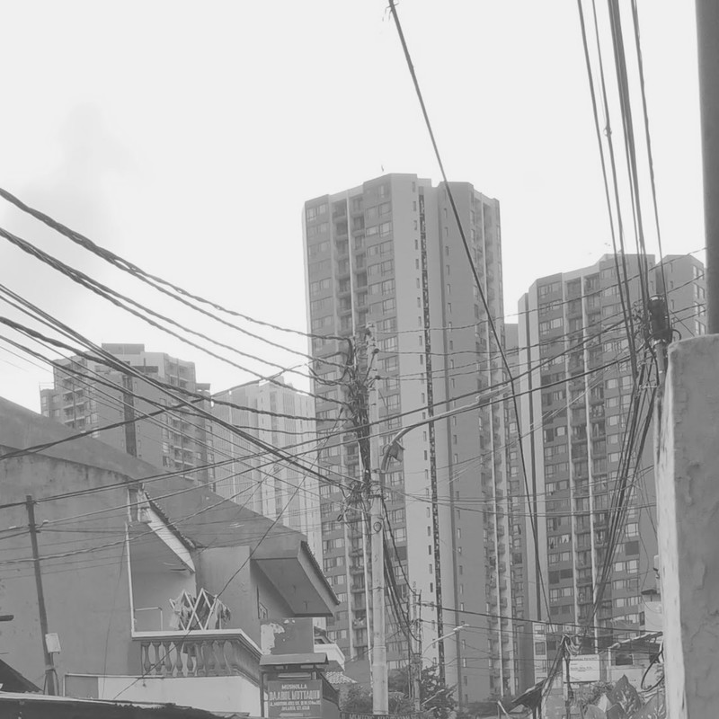 76Apel封面