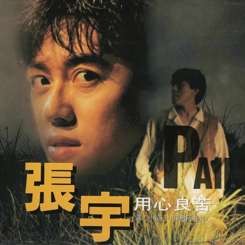 后悔封面