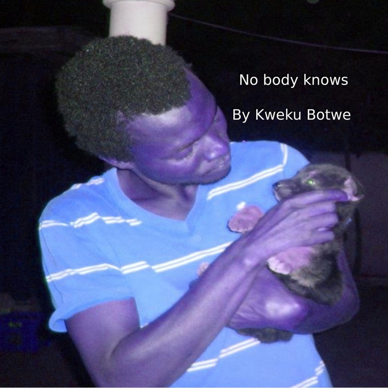 Nobodyknow封面
