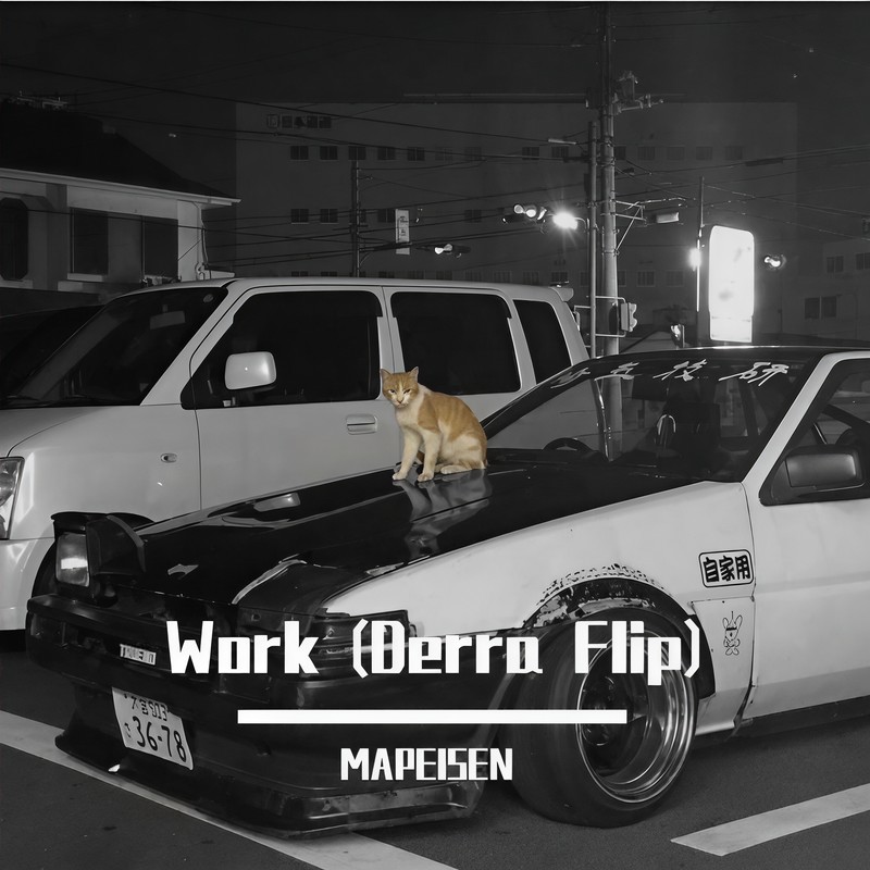 WorkDerraFlip(MAPEISEN)封面