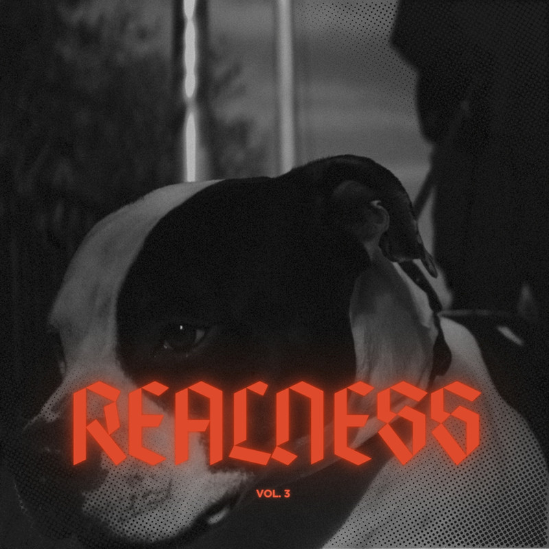 REALNESS3封面