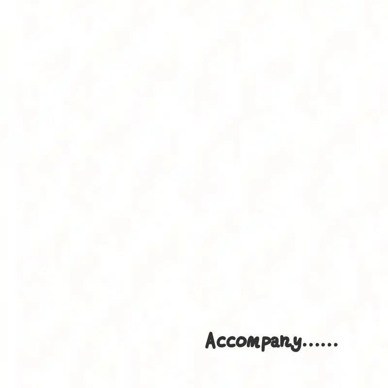Accompany封面