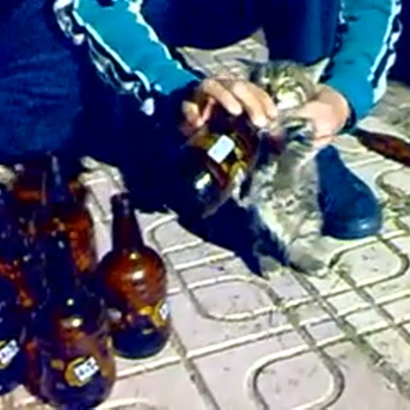 OKızSeniSevmesedeFarketmez封面