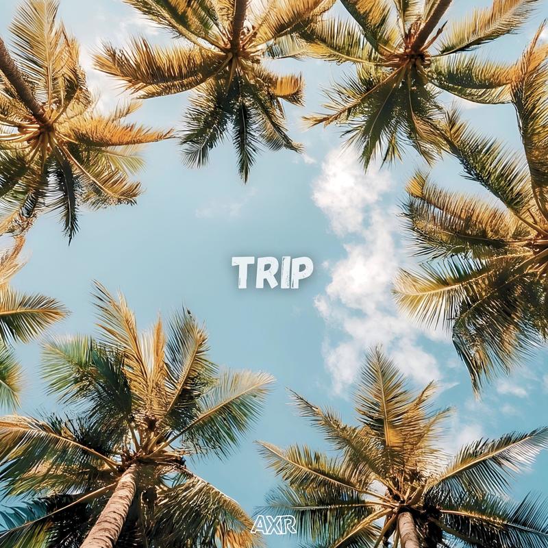 Trip封面