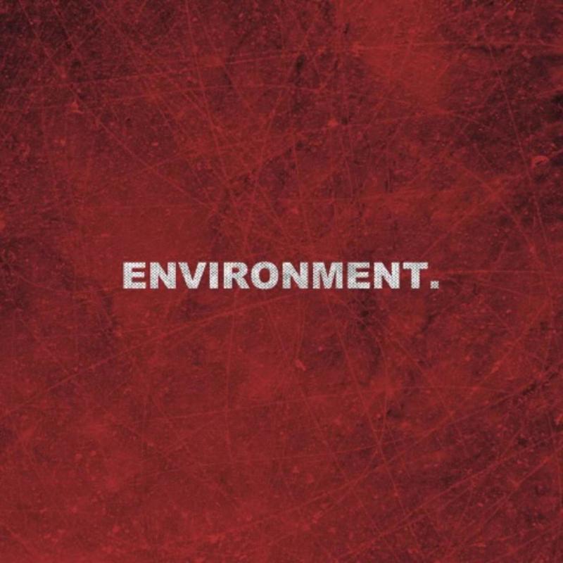 Environment封面