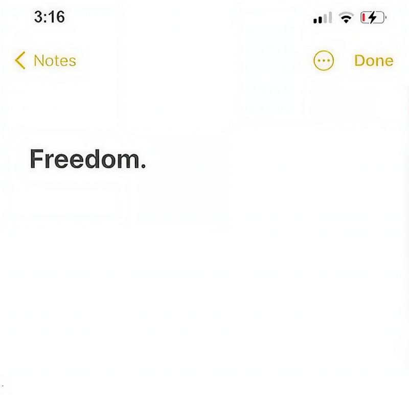 Freedom封面